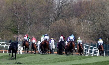 Past winners of the Grand Sefton Handicap Chase