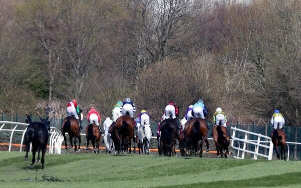Past winners of the Grand Sefton Handicap Chase