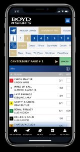 Read more about the article Race and Sports Wagering in One App