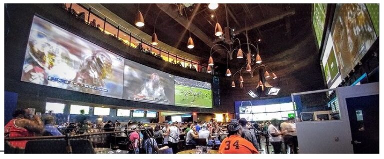 New Jersey Sports Book 1