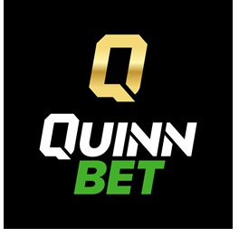 Read more about the article QuinnBet, official Millwall FC sponsor