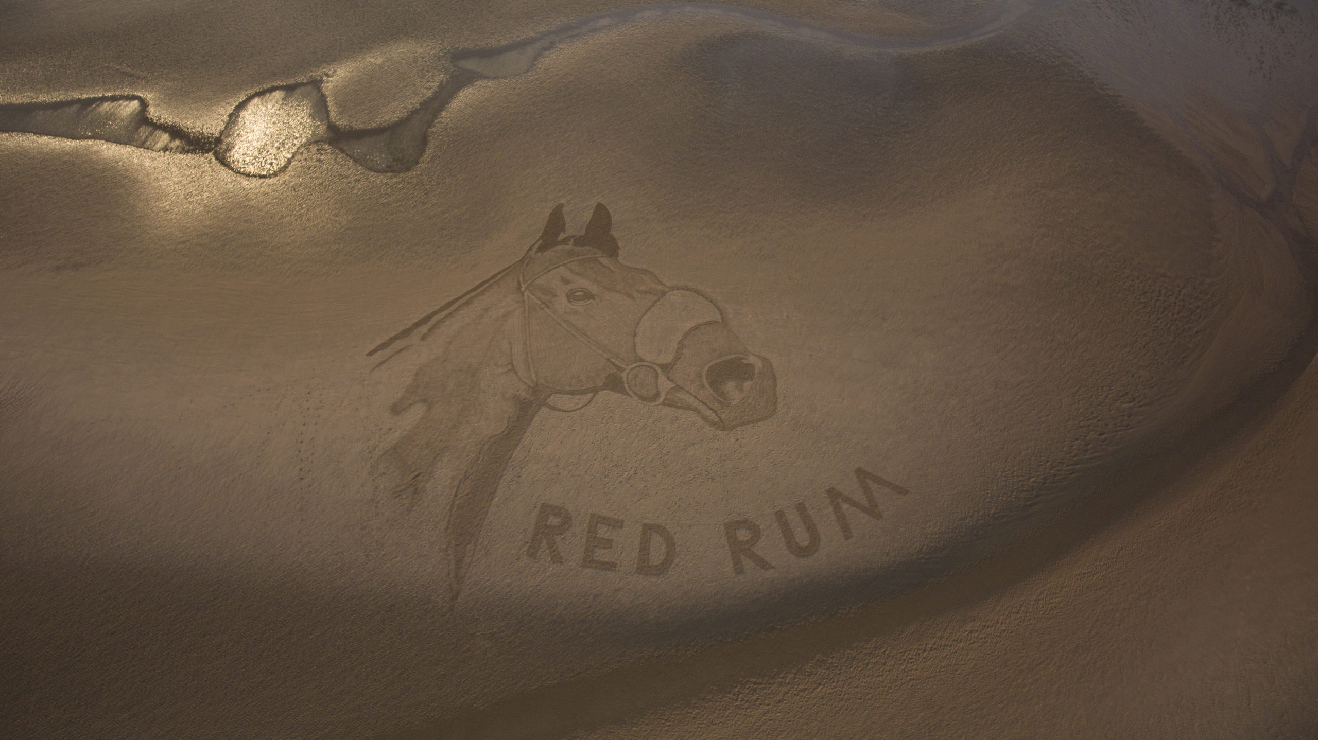 red rum beach art (9)