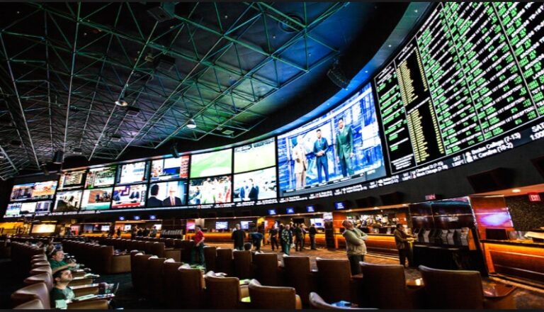 Usa Sports Book Image