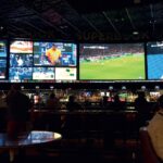 SPORTS BETTING STAMPEDE